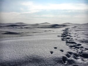 steps in the ice dunes